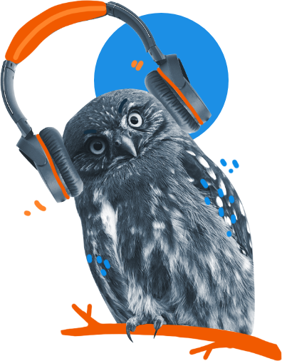 sowa w słuchawkach