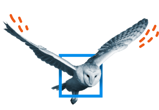 Rozwój zawodowt w szkole Sokrates