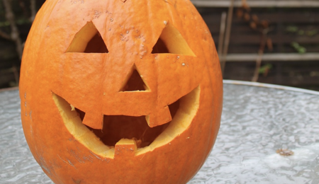 Warsztaty Pumpkin Carving