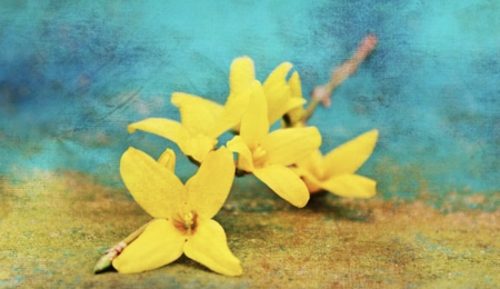 Hello April, czyli kwiecień w Sokratesie