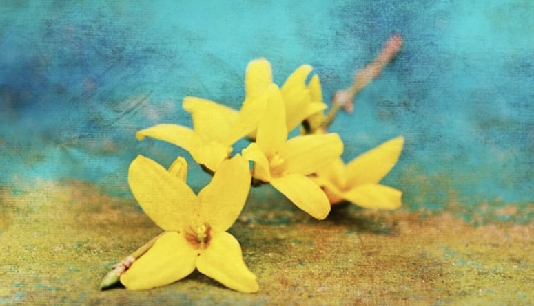 Hello April, czyli kwiecień w Sokratesie