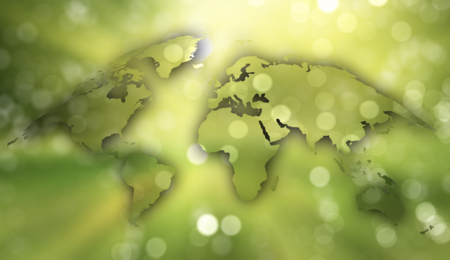 Environmental Literacy Quiz
