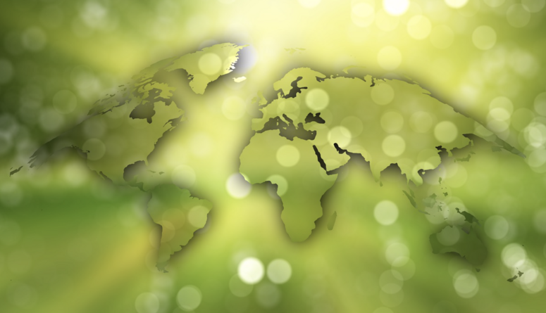 Environmental Literacy Quiz